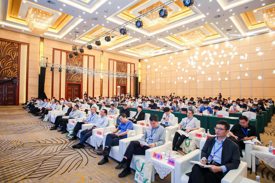 AGÕæÈË×ܲ¿¼¯ÍÅÓÐÏÞ¹«Ë¾|Ê×Ò³