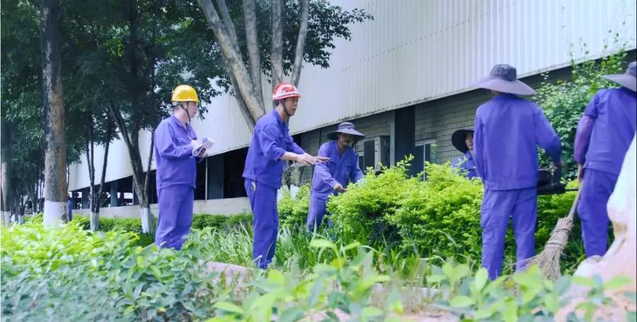 AG�����ܲ��������޹�˾|��ҳ