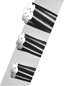 AG�����ܲ��������޹�˾|��ҳ