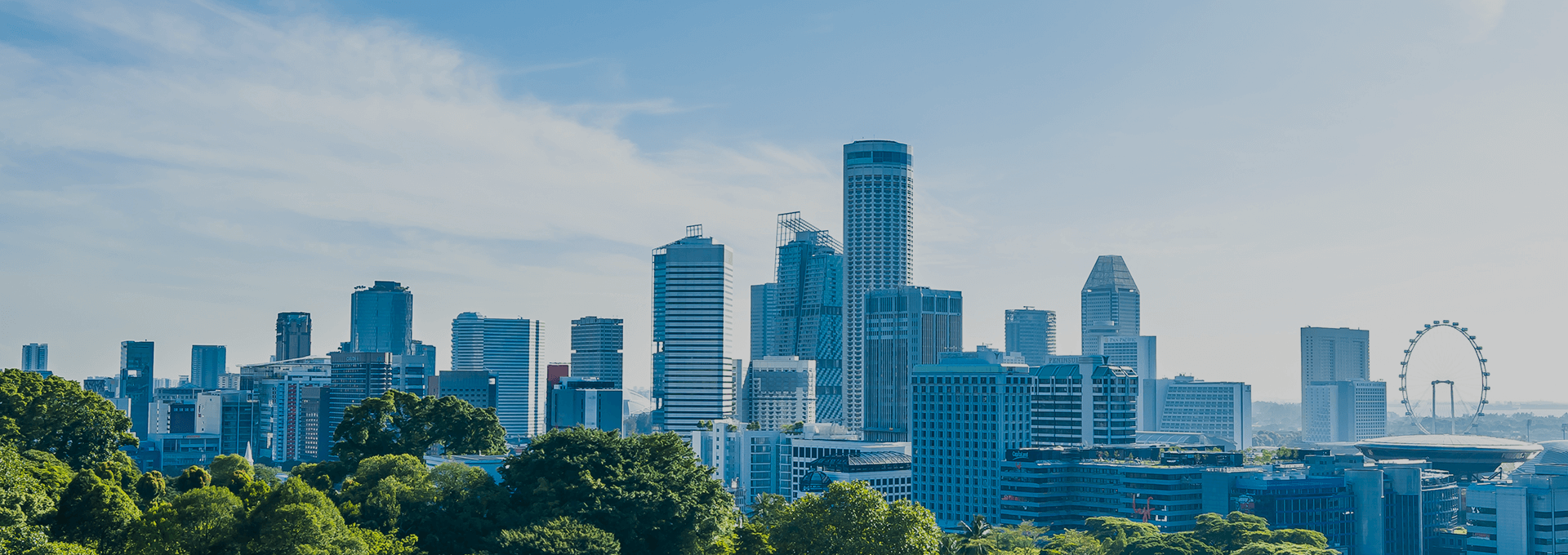 ��Ʒ��Ч��