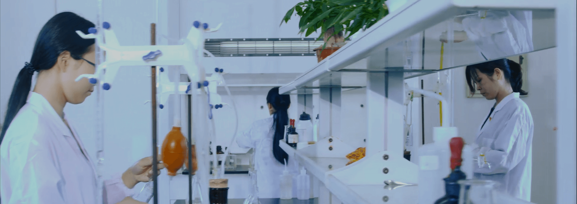 ��Ʒ��Ч��